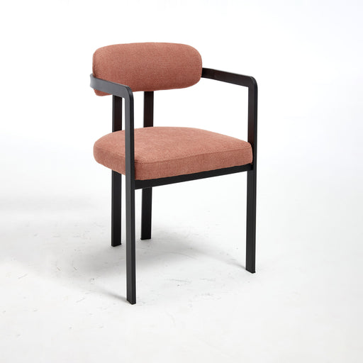 Dining Arm Chairs (Set of 2) Home Essentials