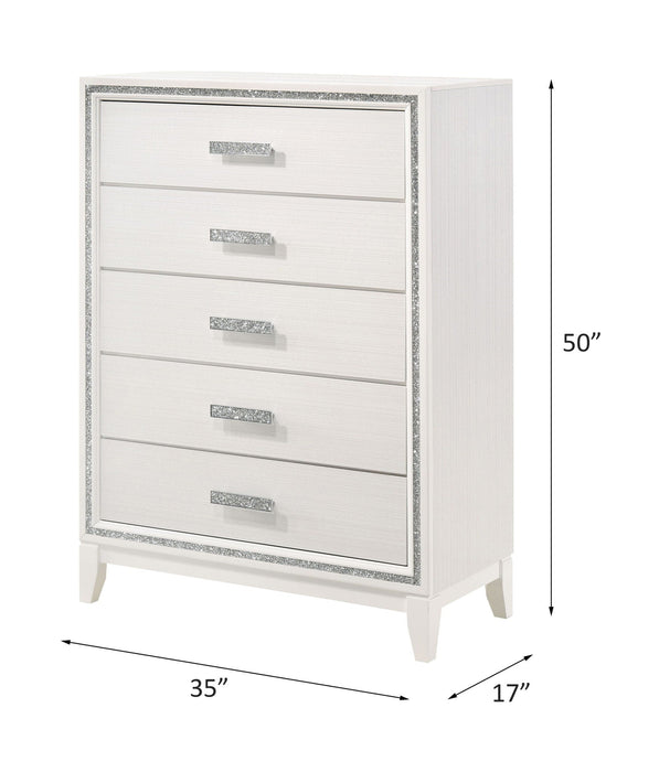 Haiden - Chest ACME