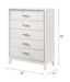Haiden - Chest ACME