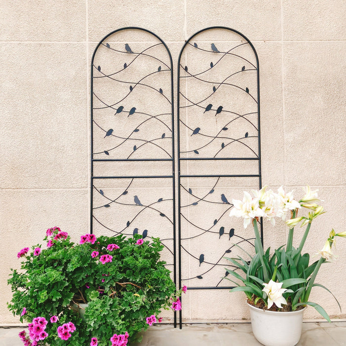 Garden Rustproof Trellis For Climbing Plants Daily Nest