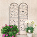Garden Rustproof Trellis For Climbing Plants Daily Nest