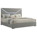 Pierce - Panel Bed LED Headboard Furniture Max