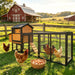 Large Outdoor Hen House With Run And Nesting Box Poultry Cage Daily Nest
