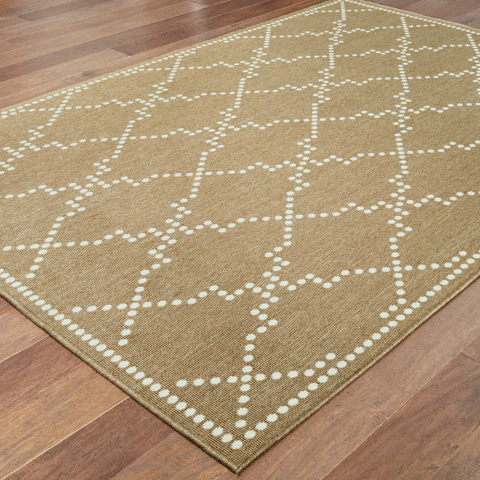 7' X 10' Geometric Stain Resistant Indoor / Outdoor Area Rug - Tan