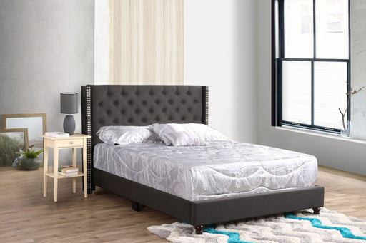 Nailhead Bed Transitional Vibrant Glory Furniture