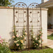 Metal Garden Trellis Rustproof Trellis For Climbing Plant Outdoor Flower Support Daily Nest