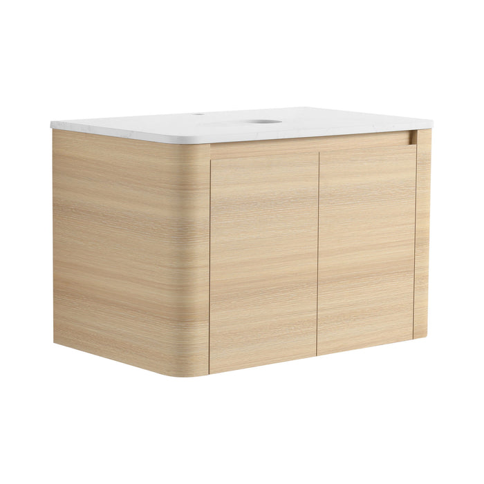 Wall Mounted Bathroom Vanity With Soft Close Door, Excluding Sink Home Essentials