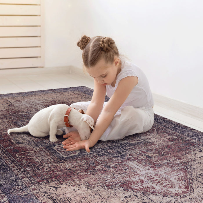 2' x 3' Washable Area Rugs, Low-Pile, Non-Slip, Non-Shedding, Foldable, Kid & Pet Friendly Area Rugs For Living Room, Bedroom, Kitchen, Dining Room Rug, Perfect Gifts - Burgundy