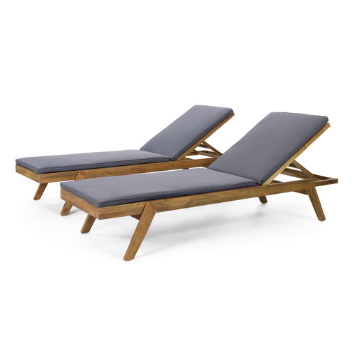 Nebulon - Outdoor Adjustable Chaise Lounge With Water Resistant Cushions (Set of 2) Noble House