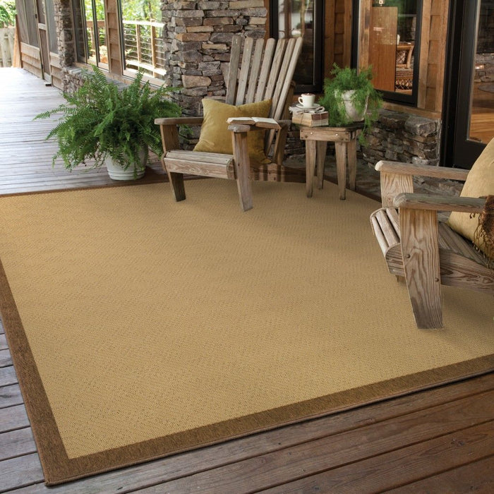 2' X 4' Area Rug Indoor & Outdoor - Beige