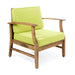 Perla - Contemporary Club Chair With Water Resistant Cushionі Noble House