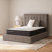 Limited Edition Firm - Mattress Sierra Sleep® by Ashley