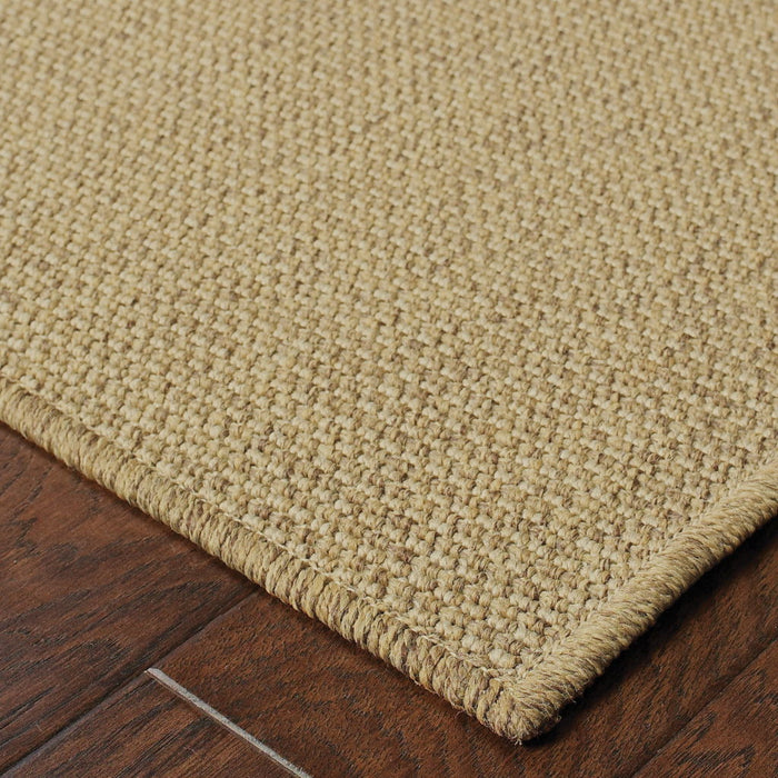 2' X 4' Stain Resistant Area Rug Indoor & Outdoor - Tan