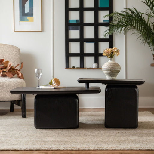 Square Coffee Table Set (Set of 2) Home Essentials