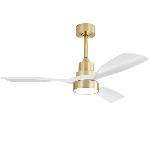 Indoor Ceiling Fan With Dimmable LED Light, 6 Speed Remote ControlLED DC Motor, Reversible Blades Daily Nest