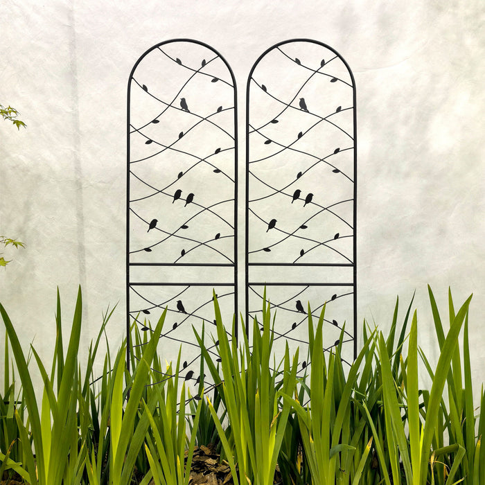 Garden Rustproof Trellis For Climbing Plants Daily Nest