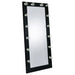 Theron - Floor Mirror With LED Lighting Furniture Max
