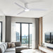 52" Ceiling Fan With Light, Dimmable DC Reversible Motor, 3 Blades Daily Nest