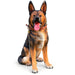 German Shepherd Dog Statue, Sitting Guard Sculpture - Black Brown Daily Nest