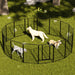 Dog Playpen, 16 Panels Pet Exercise Pen Indoor / Outdoor Fence With Anti Skid Base - Black Daily Nest