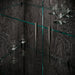 Krystal - 2 Door Vitrine - Black Camelgroup Italy