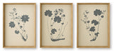 Huddwick - Wall Art Set (Set of 3) - Linen / Black Signature Design by Ashley®