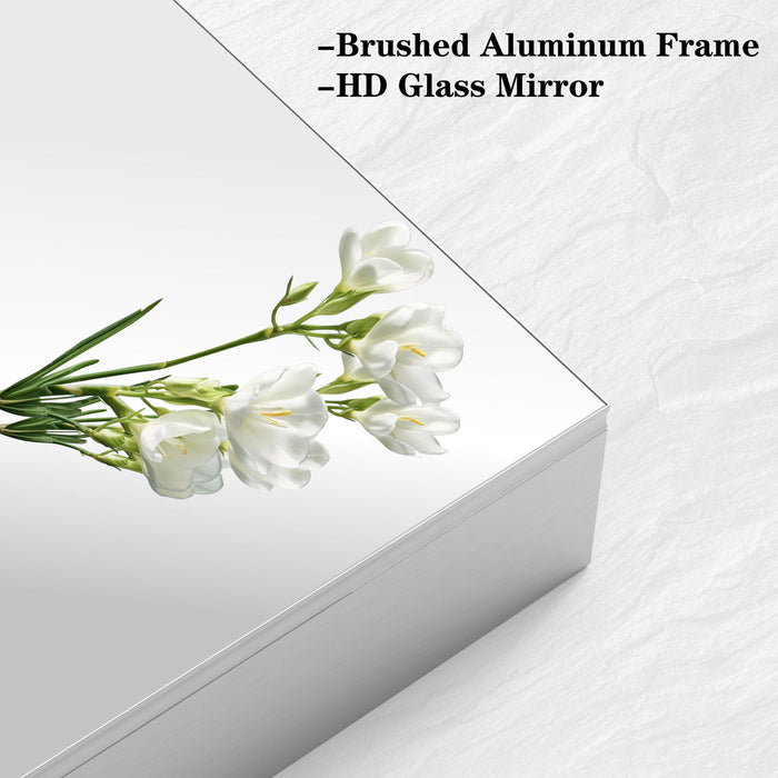 Medicine Cabinet, Wall Mounted Bathroom Mirror With Storage, Adjustable Shelves - Silver Home Essentials