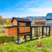 Chicken Coop, Large Outdoor Hen House & Run And Nesting Box Poultry Cage, Rabbit Hutch - Brown / Black Daily Nest