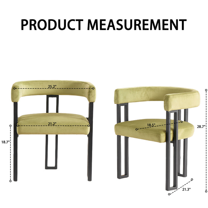 Cushioned Accent Armchairs (Set of 2) Home Essentials