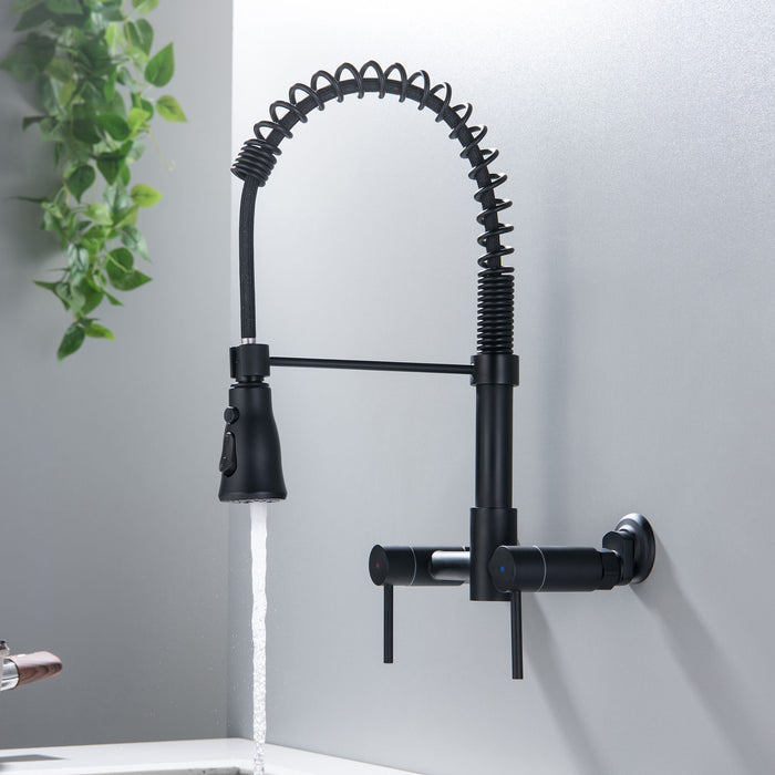 Double - Handle Pull - In Kitchen Faucet