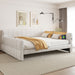 Upholstered Platform Bed With USB Charging Dreamland
