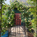 Garden Arch With Gate Climbing Plants Support Outdoor - Black Daily Nest