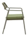 Rio - Outdoor Dining Chair (Set of 2) Zuo Modern