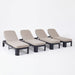 Outdoor Chaise Lounge With Cushion, 5 Position Adjustable Backrest Noble House