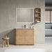 Freestanding Bathroom Vanity With Sink, 2 Soft Close Doors & Storage Rack Home Essentials