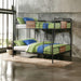 Brantley - Full Long / Queen Bunk Bed - Black Acme
