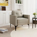 Modern Design Arm Chair Home Essentials