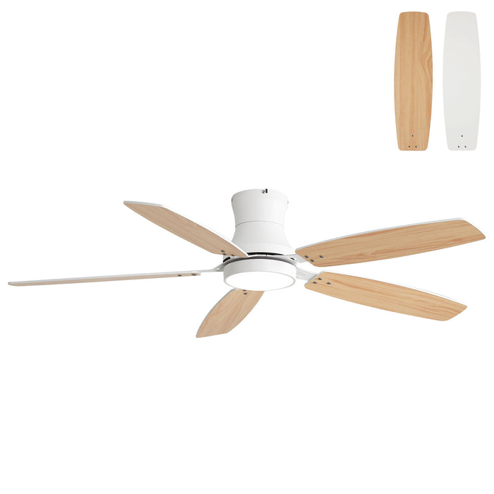 42" Ceiling Fan With Light, Tri Color Dimmable, DC Motor, 5 Blades Daily Nest