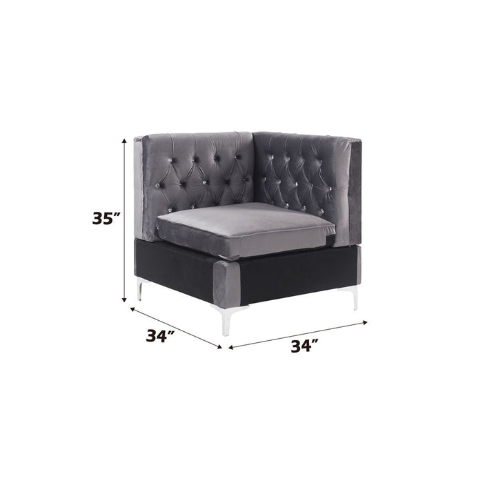 Jaszira - Modular - Wedge ACME