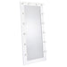Theron - Floor Mirror With LED Lighting Furniture Max