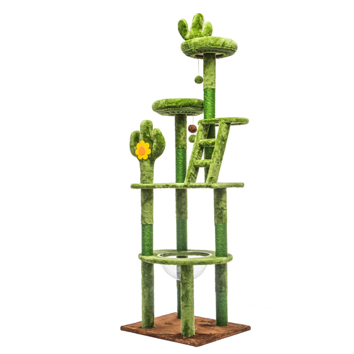 Cactus Cat Tree With Transparent Capsule Daily Nest