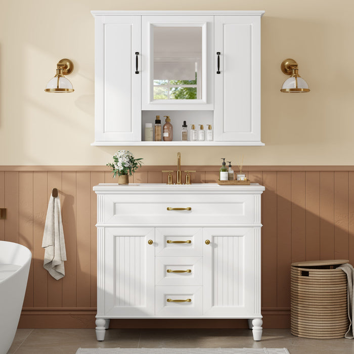 Modern Freestanding Bathroom Vanity With Sink, Cabinet, Soft-Close Drawers, Tip-Out Tray Hearth and Haven