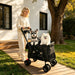 Pet Stroller For Small / Medium Pets Daily Nest
