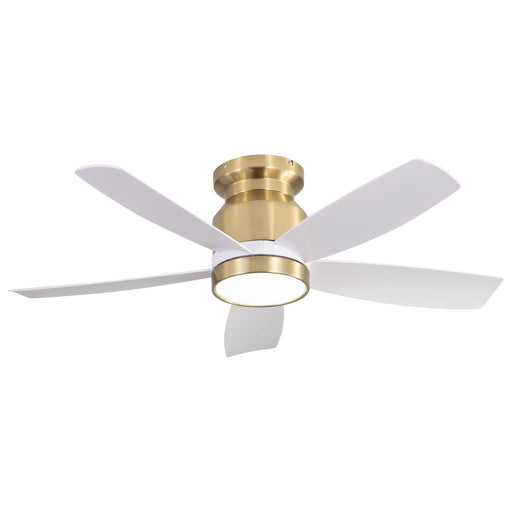 Flush Mount Ceiling Fan With LED Light 22W And Remote Control Blades / Body, DC Motor Daily Nest