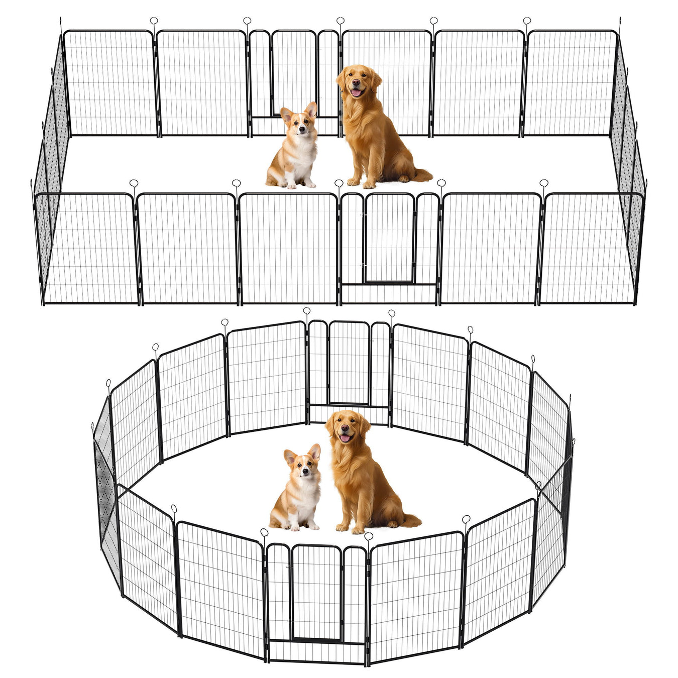 Para la Mascota