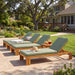 Outdoor Chaise Lounge With 5 Position Adjustable Backrest Noble House