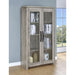 Myerson - 2 Door Tall Cabinet - Gray Furniture Max