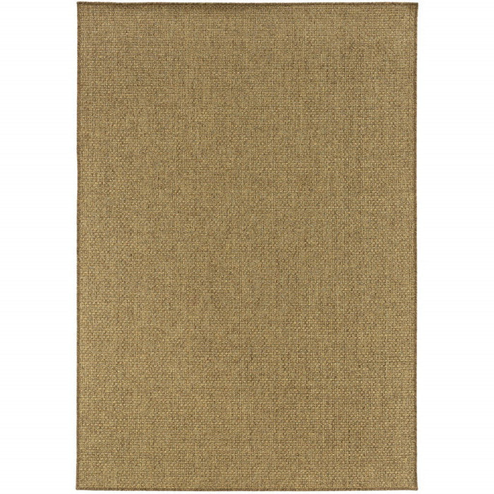 2' X 4' Indoor / Outdoor Area Rug - Tan