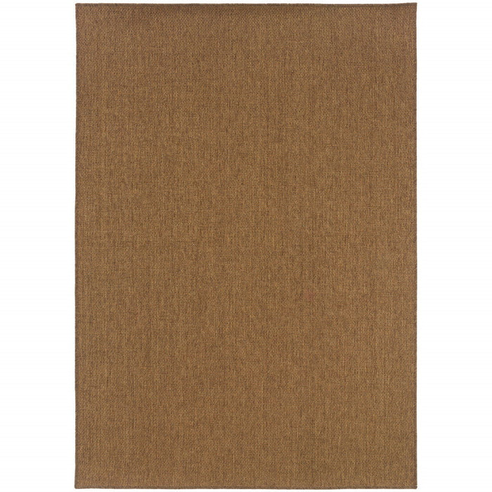 2' X 4' Stain Resistant Area Rug Outdoor & Indoor - Tan