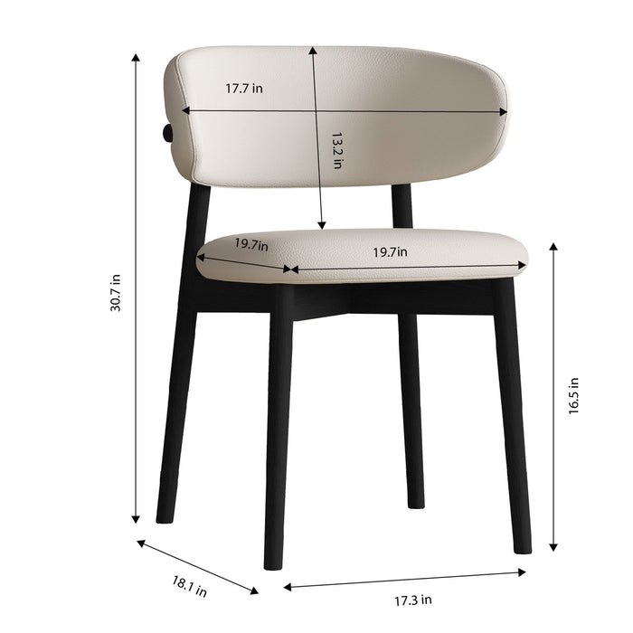 Mid-Century Modern Dining Chair (Set of 2) Home Essentials